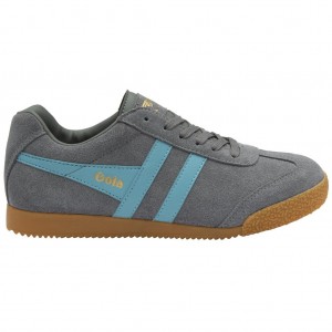 Gola Classics Harrier Suede Sneakers Ash Ocean Colombia | 513FHQXCR