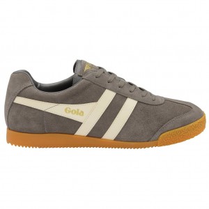 Gola Classics Harrier Suede Sneakers Ash Ecru Colombia | 678ZDXJKF