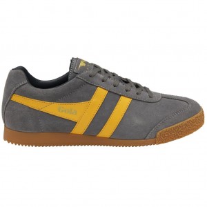 Gola Classics Harrier Suede Sneakers Azul Marino Colombia | 713NAWXBS
