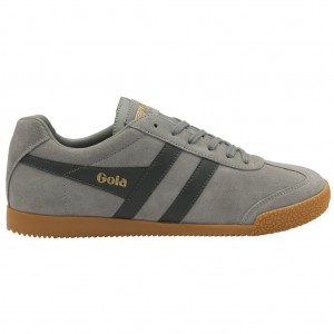 Gola Classics Harrier Suede Sneakers Cement Storm Colombia | 913DTBRUP
