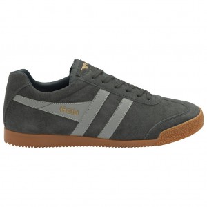 Gola Classics Harrier Suede Sneakers Gris Claro Azul Marino Colombia | 327ATCDNK